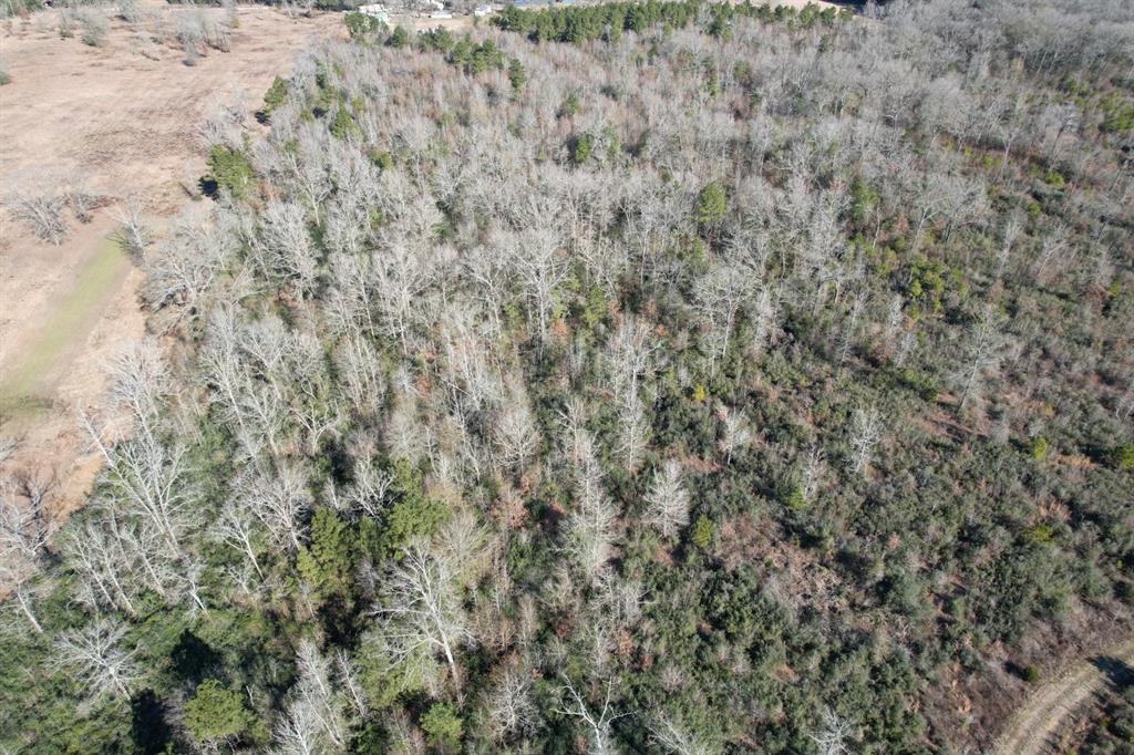 Tbd-c County Road 4021 Property Photo 4
