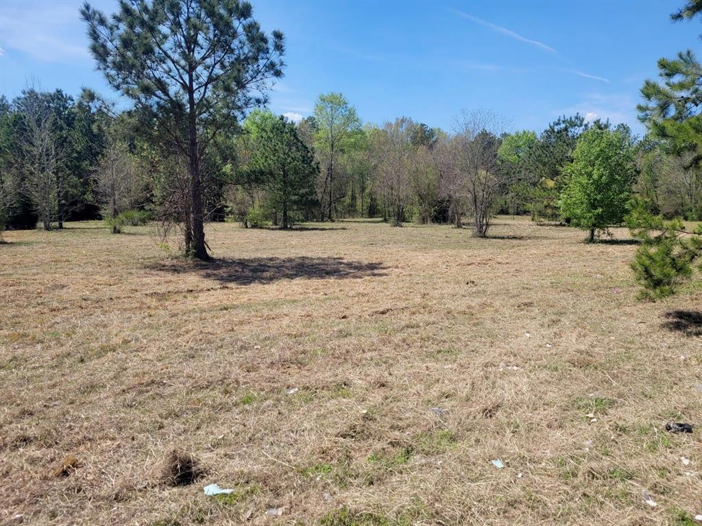 0 Pines Road Property Photo 1