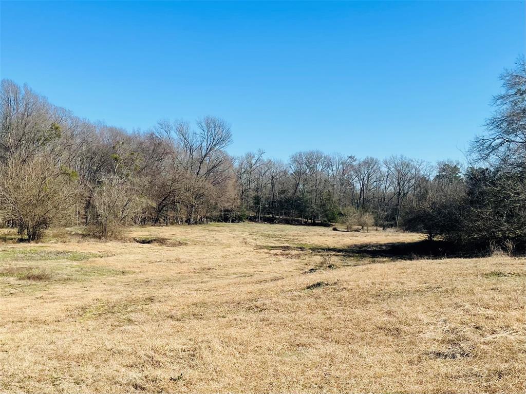 1155 County Road 2376 Tract 2a Property Photo 4
