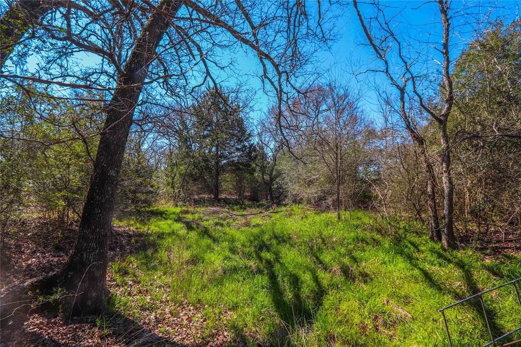 9239 Fm-1696 Property Photo 6