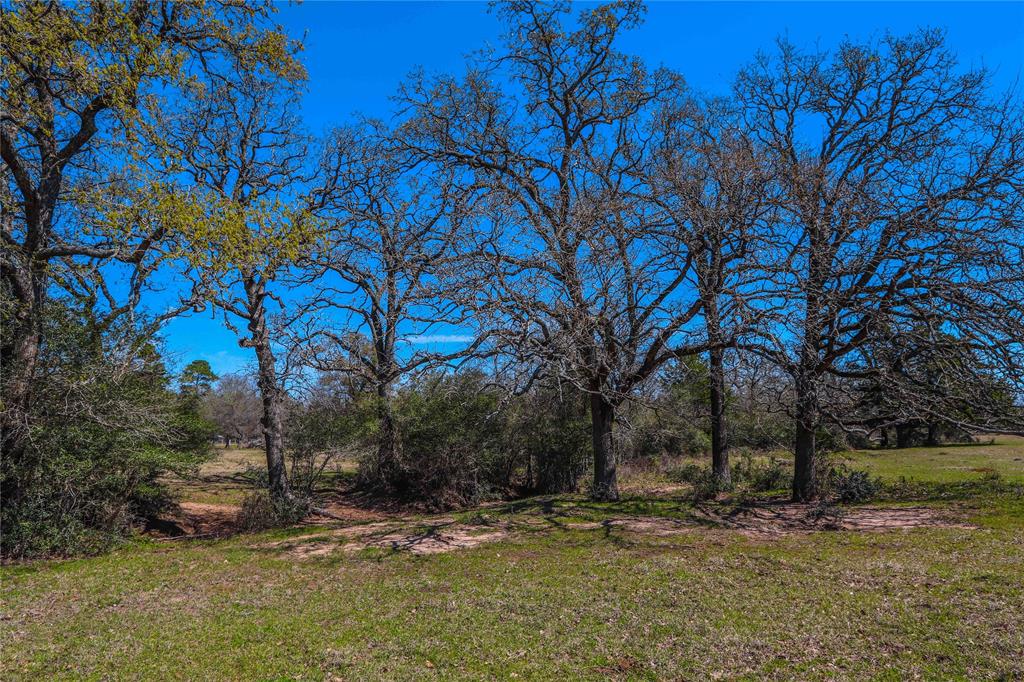 9239 Fm-1696 Property Photo 8