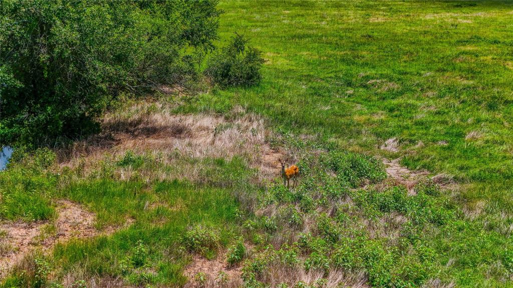 9239 Fm-1696 Property Photo 13