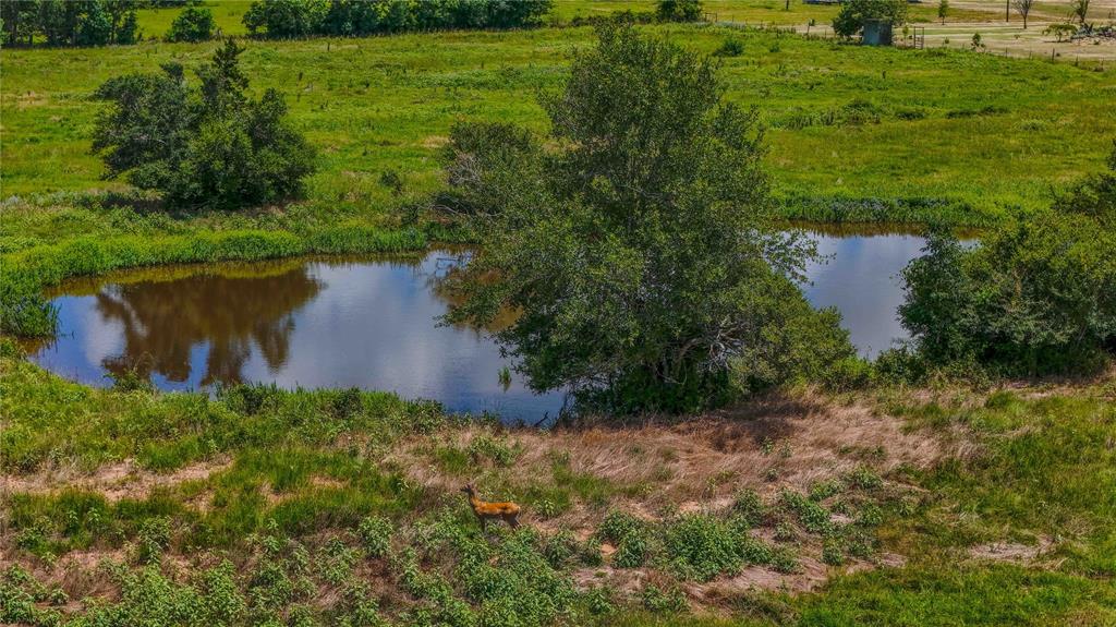 9239 Fm-1696 Property Photo 14