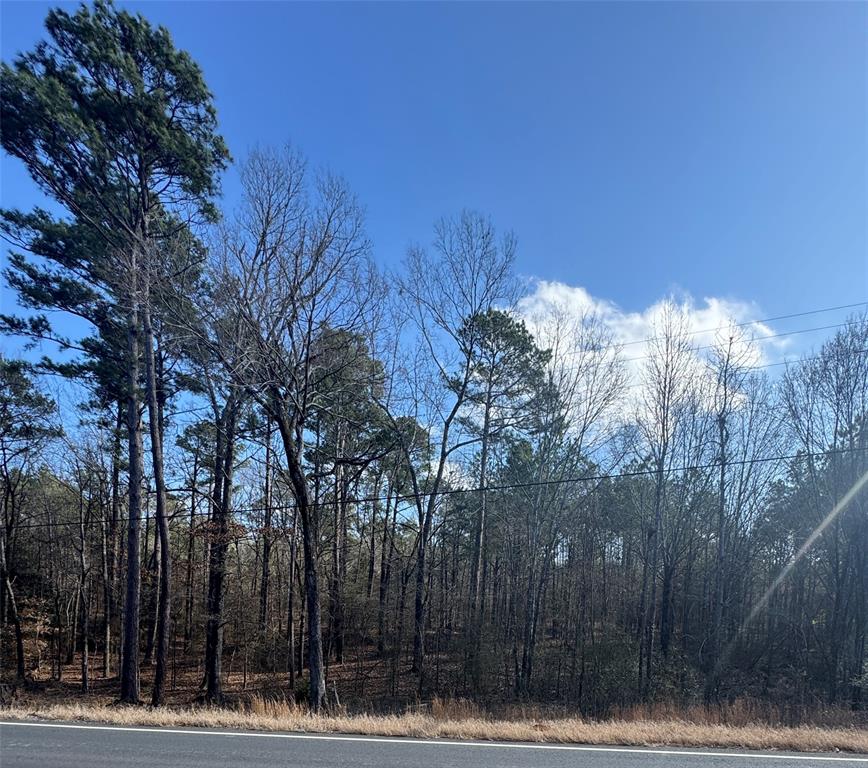 0 Jefferson Paige Road Property Photo 3