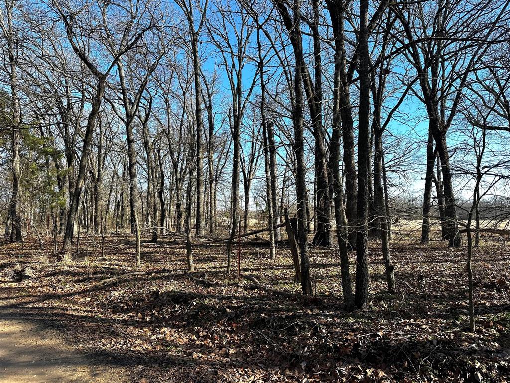 Tbd Hwy 82 East Property Photo