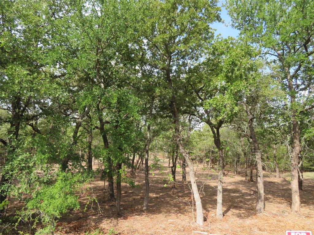 000 Horizon Ridge Property Photo 1