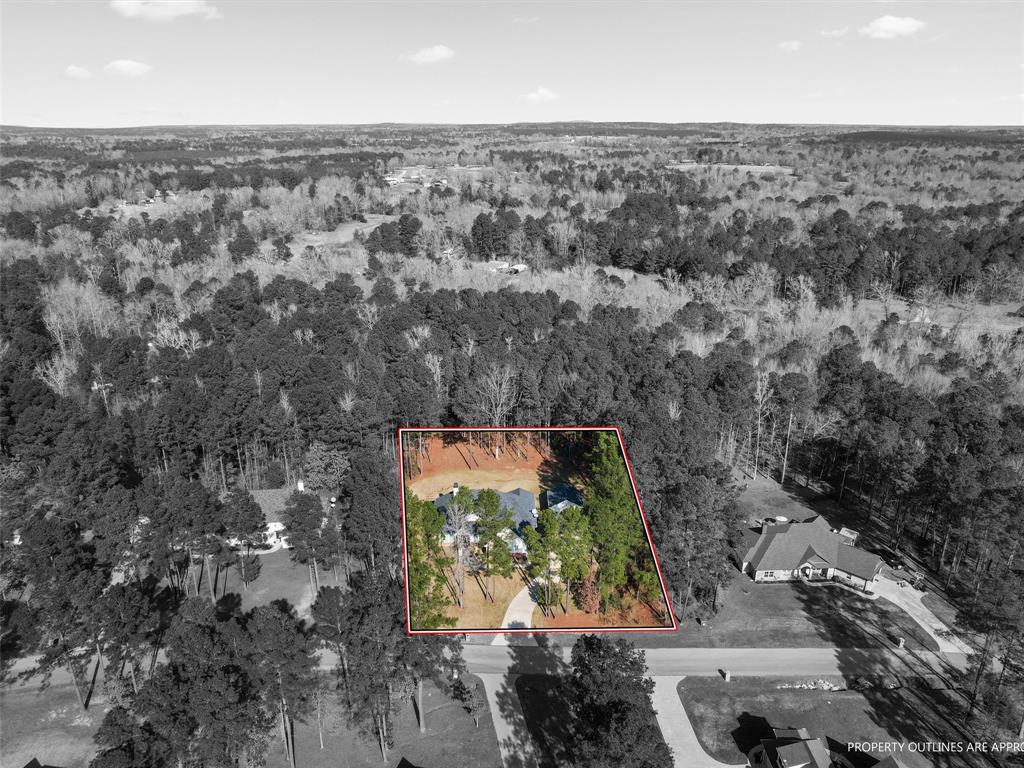 309 Bralan Dr Property Photo 2