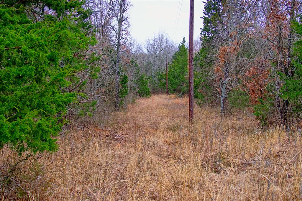 1550 Forrester Rd Property Photo 3