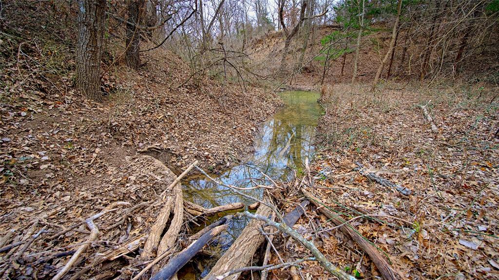 1550 Forrester Rd Property Photo 10
