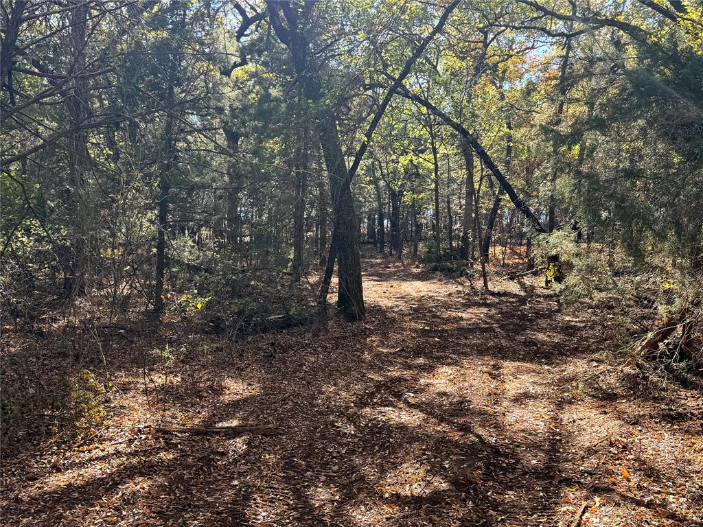 Tbd Lot 8 Clark Road Property Photo