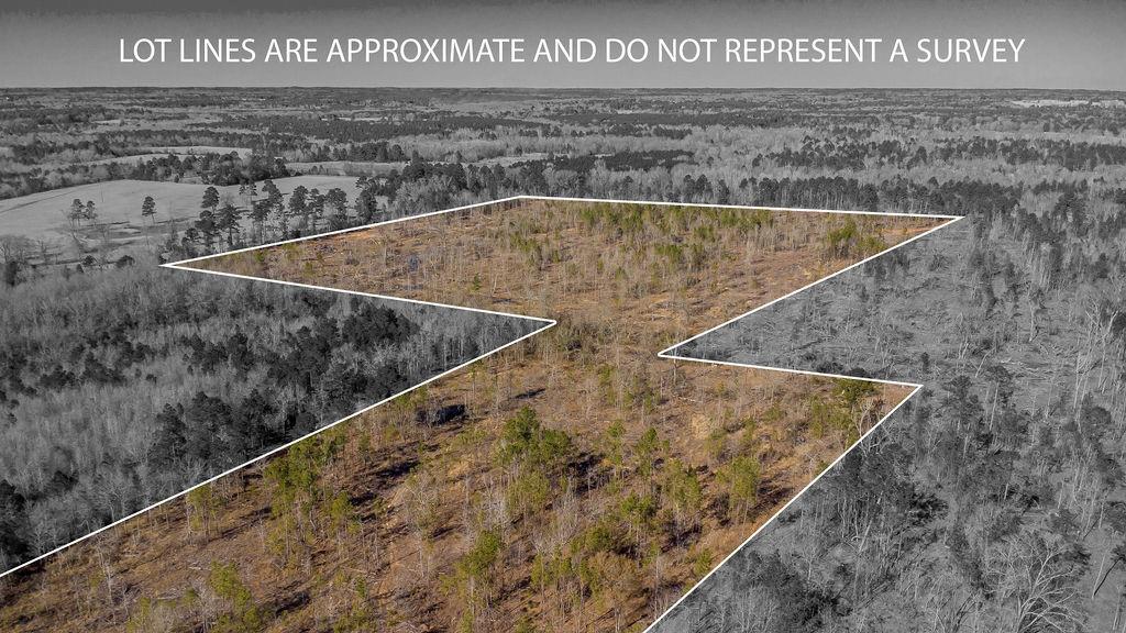 0 County Road 415 Property Photo
