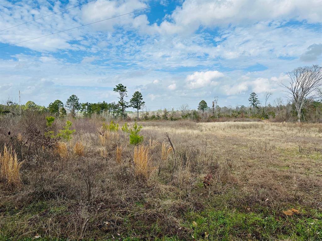 3204 Wilson Road Property Photo
