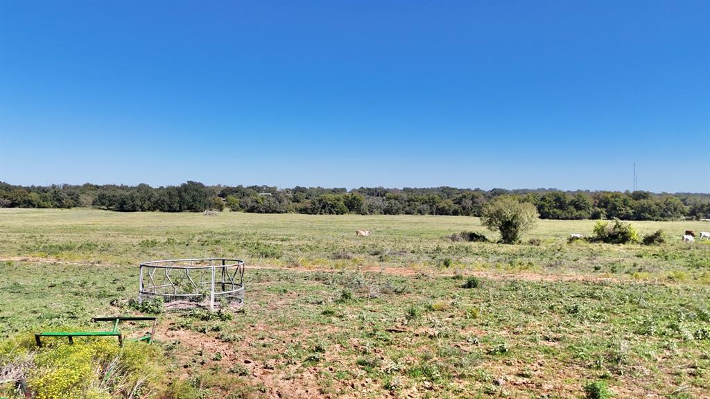 Tbd County Road 401 Property Photo 3