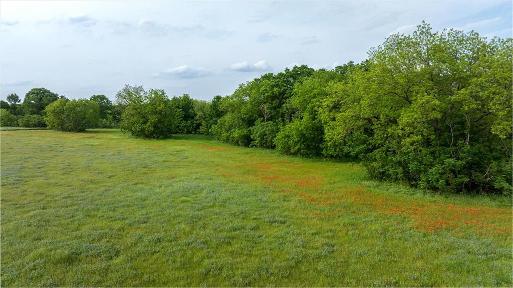Tbd E Hwy 67 Property Photo 11