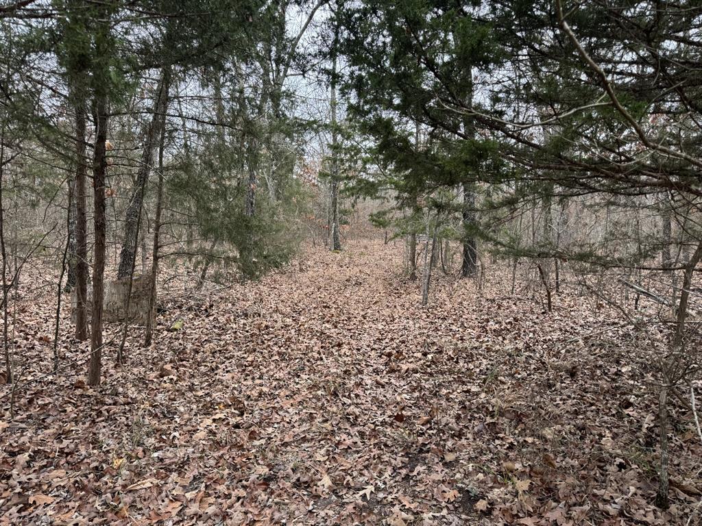 00 Pr 45615 Property Photo 1