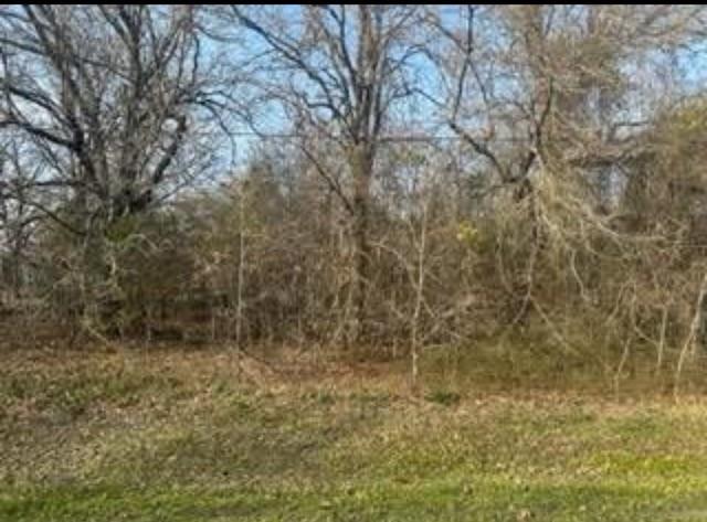 0 Acres Loop Property Photo
