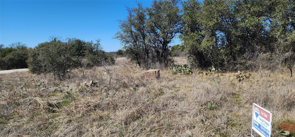100 Elzy Lay Court Property Photo 1
