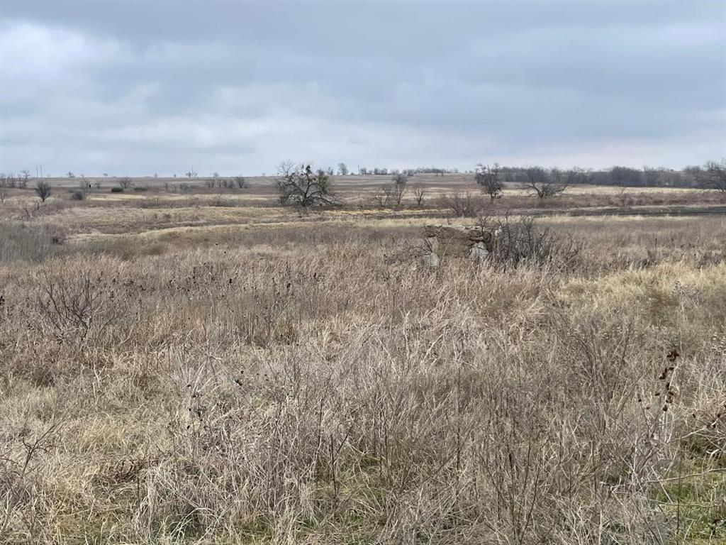 Tbd County Road 624 Property Photo