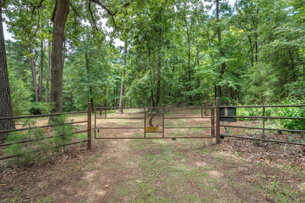 Tbd County Road 2686 Property Photo