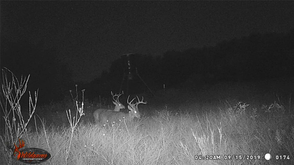 Tbd Cr 188 Cross Plains Property Photo