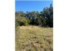 Tbd Cr 188 Cross Plains Property Photo 6
