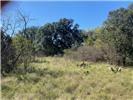 Tbd Cr 188 Cross Plains Property Photo 7