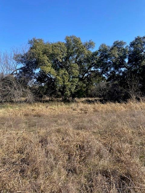 Tbd Cr 188 Cross Plains Property Photo 8