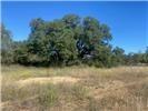Tbd Cr 188 Cross Plains Property Photo 18