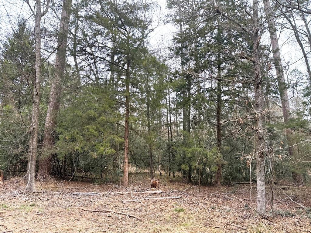Lots 316 & 317 Brazos Bend