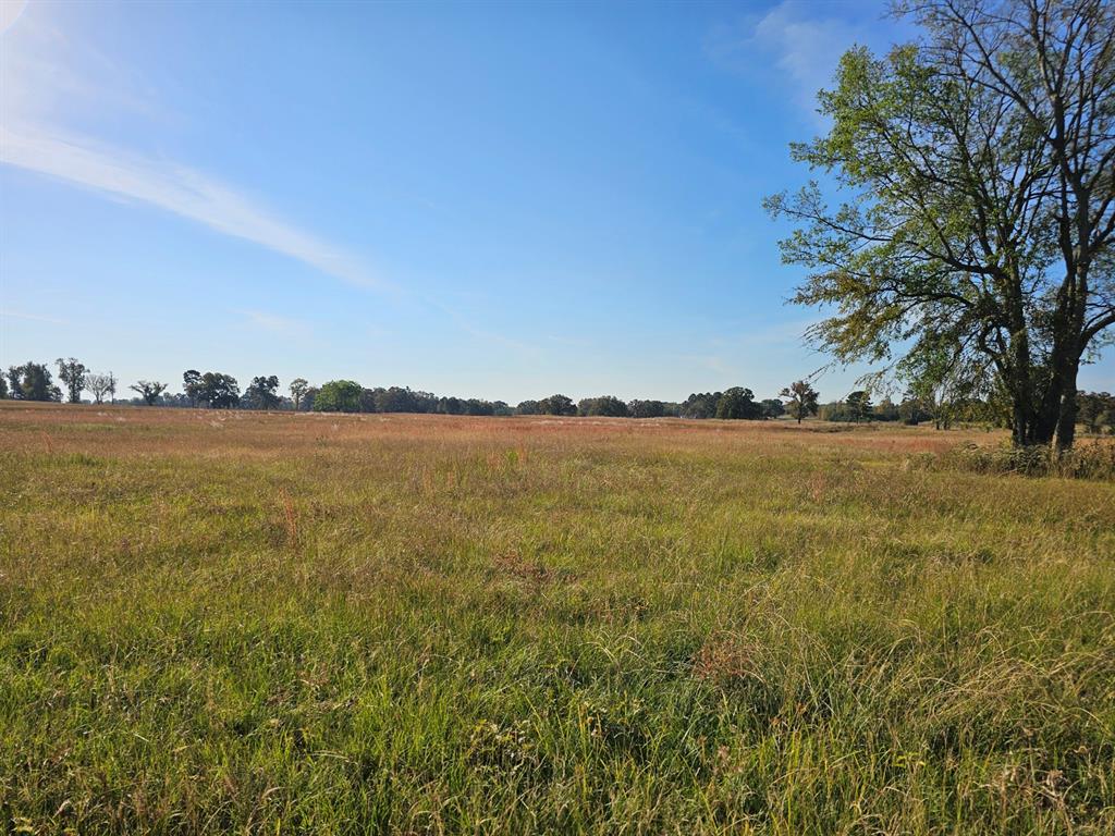 Lot 4 Fm1402 Property Photo