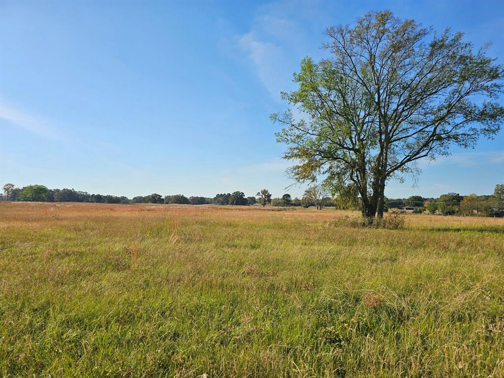 Lot 16 Cr3270 Property Photo