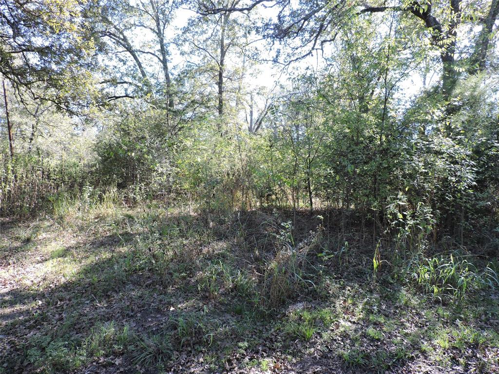 0 Tempie Road Property Photo