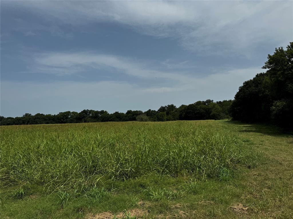 Tbd County Road 1151 Property Photo