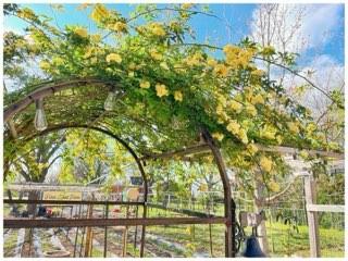 507 S 6th Street Property Photo 33