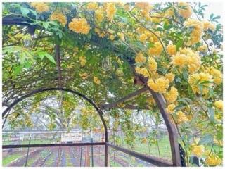 507 S 6th Street Property Photo 35