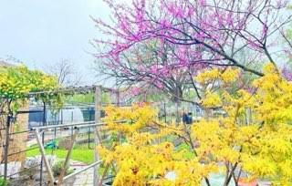 507 S 6th Street Property Photo 36