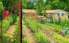 507 S 6th Street Property Photo 39