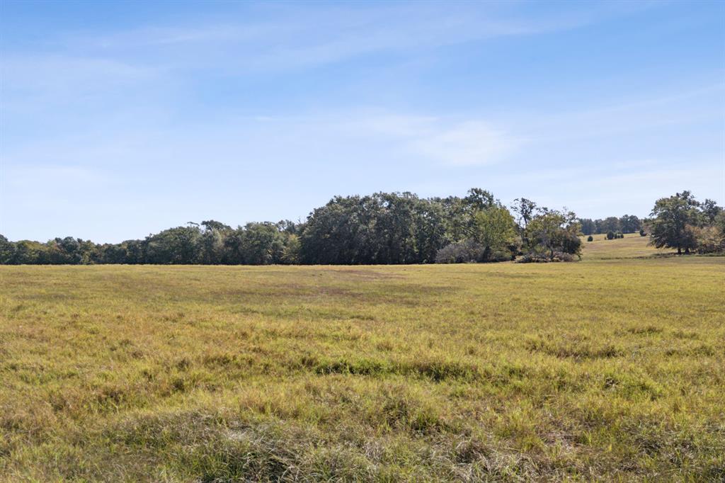 1133 Vz County Road 2413 Property Photo 26