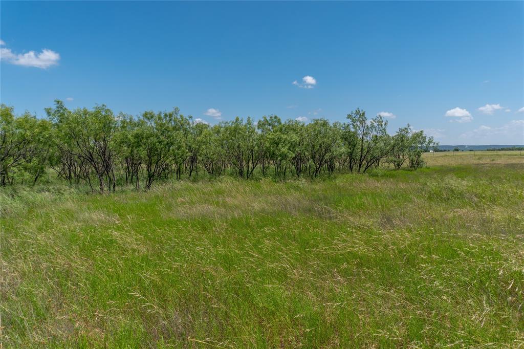 T1 County Road 204 Property Photo 6