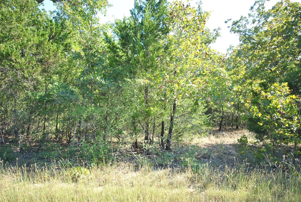 Lot 76 Lcr 910 Drive Property Photo