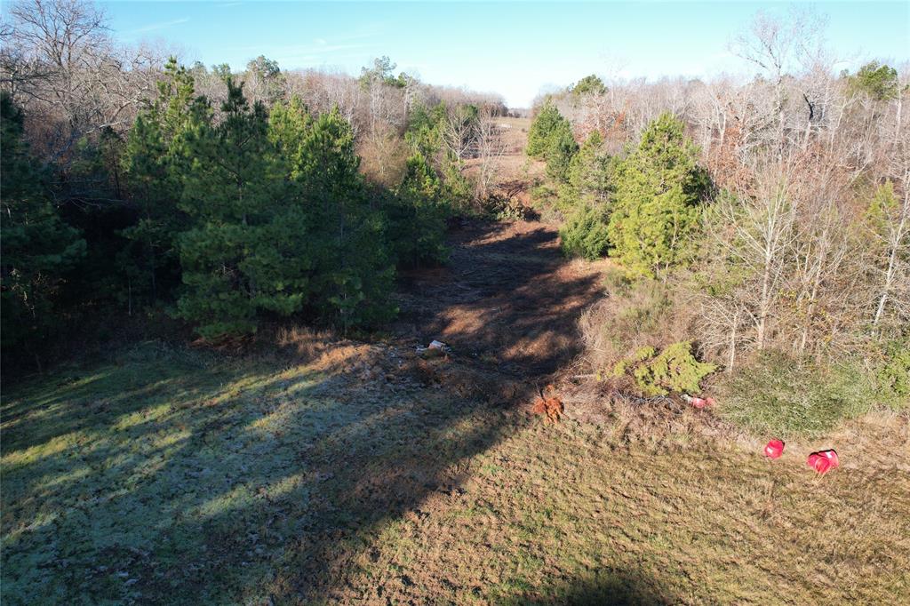 000 Nw Fm 1511 Highway Property Photo