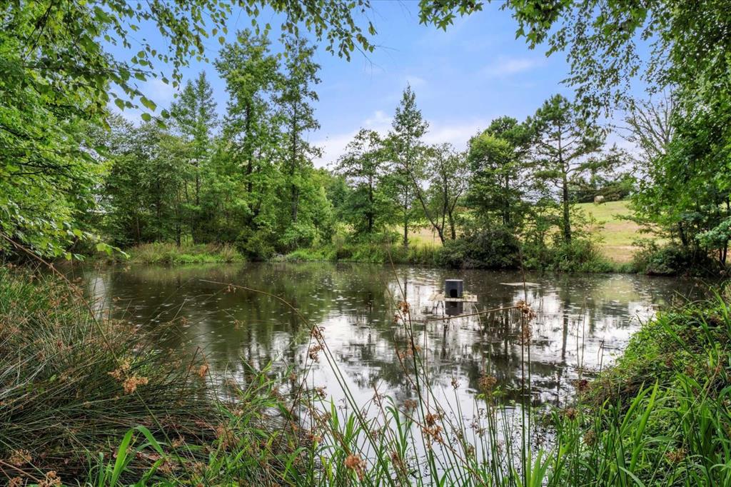 274 Cr 3230 3230 Property Photo 16