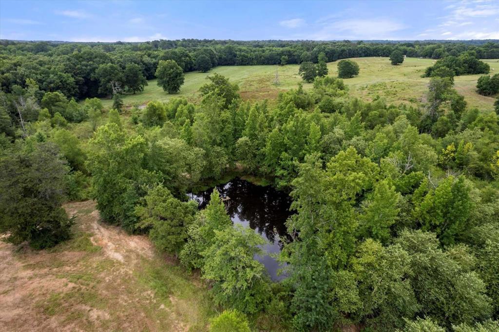 274 Cr 3230 3230 Property Photo 17