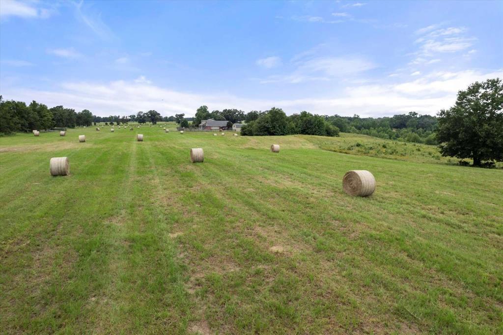 274 Cr 3230 3230 Property Photo 24