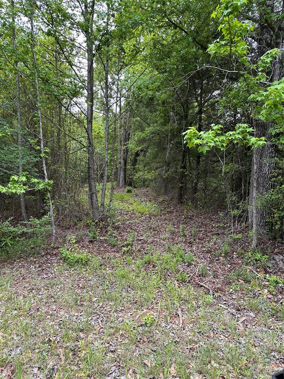 001 George Richey Road Property Photo 1