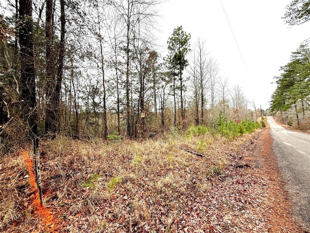 Tbd Haynes Road Property Photo
