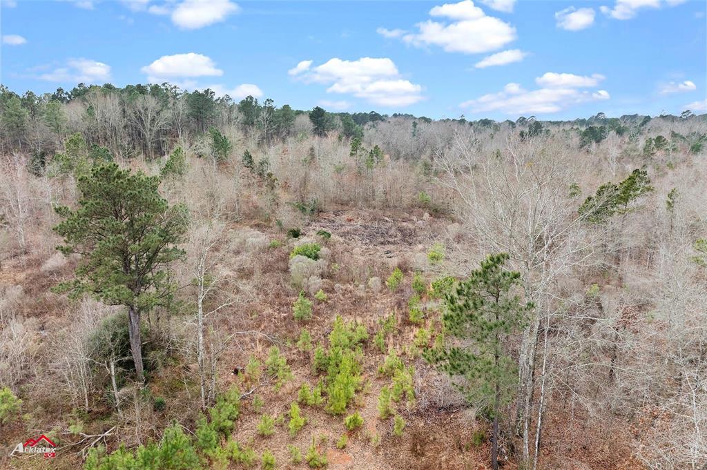 Tbd Haynes Road Property Photo 6