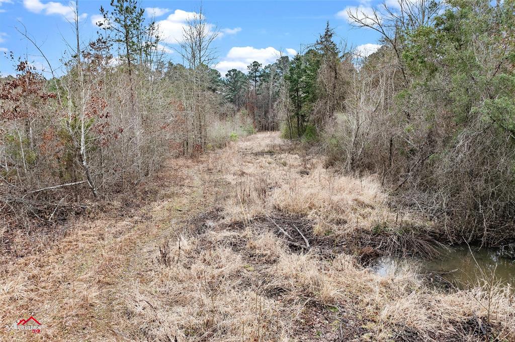 Tbd Haynes Road Property Photo 8
