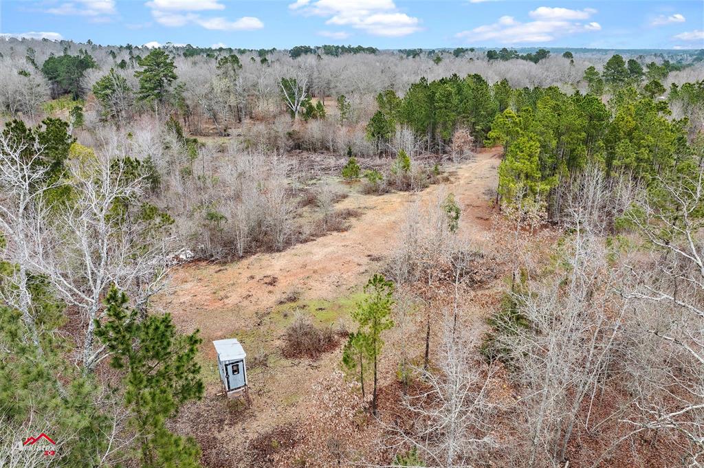 Tbd Haynes Road Property Photo 11