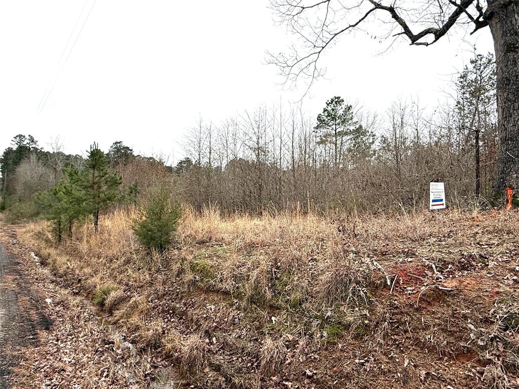 Tbd Haynes Road Property Photo 17